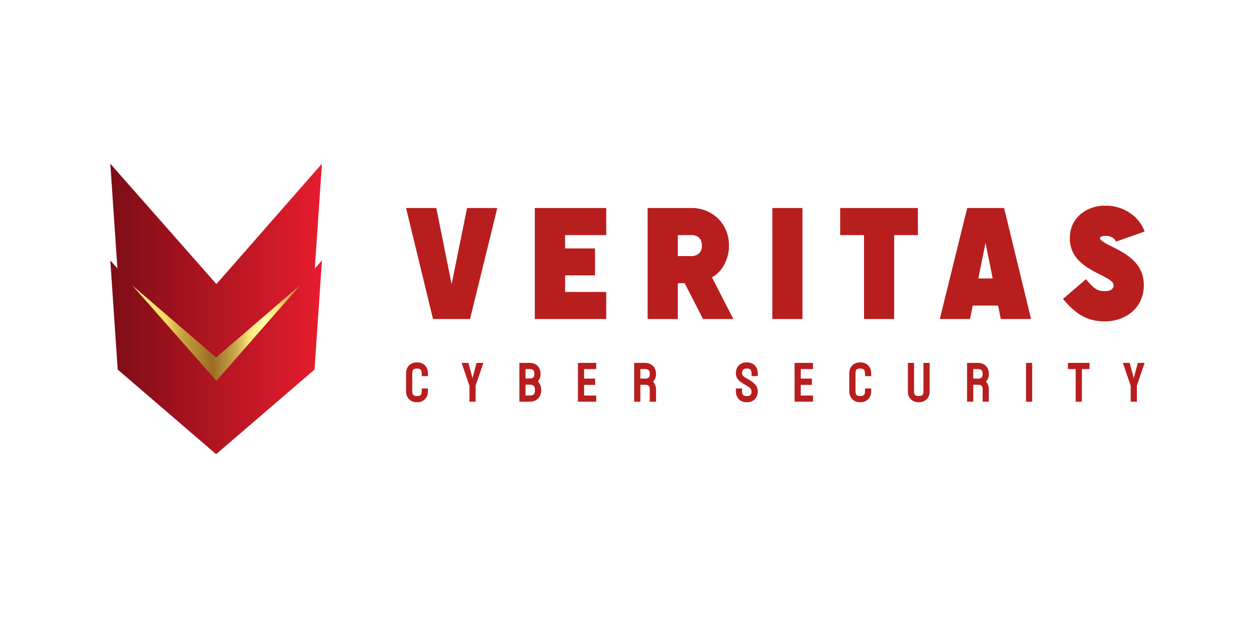 Veritas Cyber Security